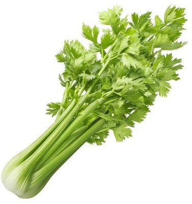 Aro Celery, Ajmod Seed(22 per packet)