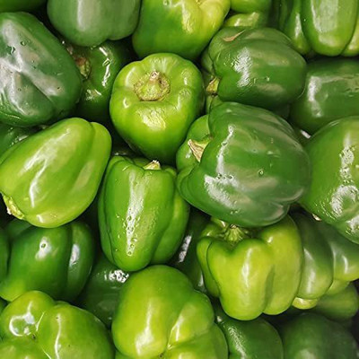CYBEXIS PAU-79 - Capsicum (Simla Mirch/Pahadi Mirch) - (1350 Seeds) Seed(1350 per packet)