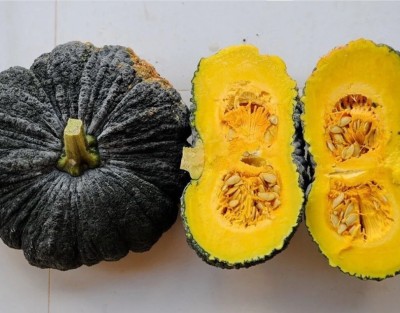 Quentova Thai Millionaire Pumpkin-HQL-10O Seed(75 per packet)