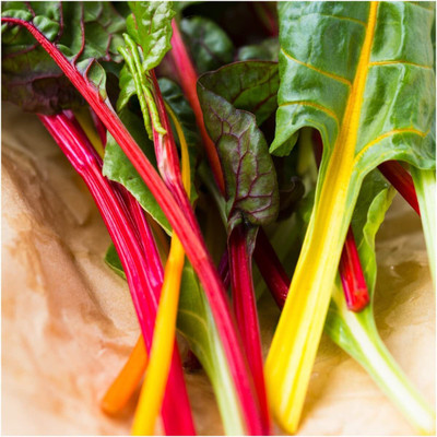 WILLVINE Hybrid Rainbow Swiss Chard (Beta vulgaris) -1250 Seeds Seed(1250 per packet)