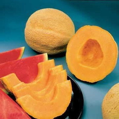 Qualtivate PUA-7A Whopper Hybrid Musk Melon Cantaloupe Seed(200 per packet)