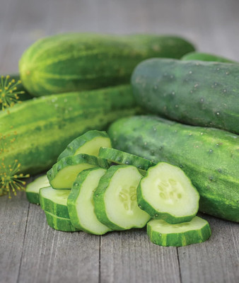 Qualtivate GBPT-9A Straight Eight Slicing Cucumber Seeds Seed(300 per packet)