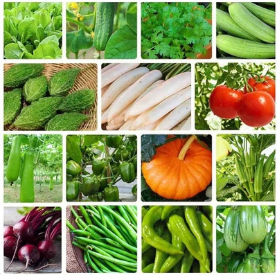 ibains Hybrid vegetable seeds combo Seed(220 per packet)