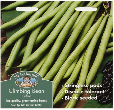 CYBEXIS Climbing French Bean Cobra Seed(100 per packet)