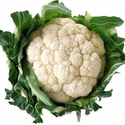 CYBEXIS Summex Cauliflower Variety2000 Seeds Seed(2000 per packet)