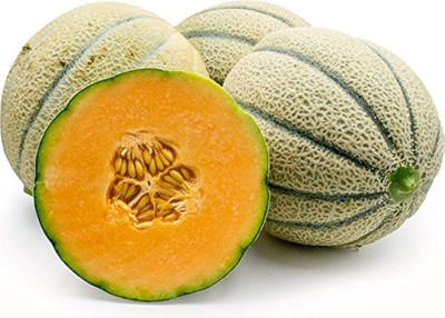 BDSresolve Muskmelon seeds f1 hybrid PACK OF 28 Seed(28 per packet)
