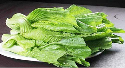 VibeX LX-30 - GAI Choi Chinese Mustard Cabbage - (2250 Seeds) Seed(2250 per packet)