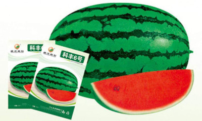 CYBEXIS Organic Hybrid Watermelon Seeds400 Seeds Seed(400 per packet)