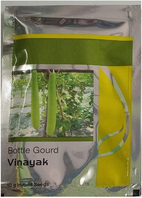 VibeX F1 Hybrid Vinayak Bottle gourd seed-(200 Gms, 1000 Seeds) Seed(1000 per packet)