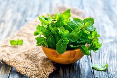 Quentova Peppermint - Mentha Piperita-NCS-10F Seed(250 per packet)