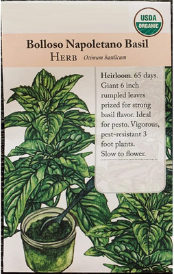 Qualtivate NBIR-18 Ocimum basilicum Basil Napoletano Seed(1000 per packet)