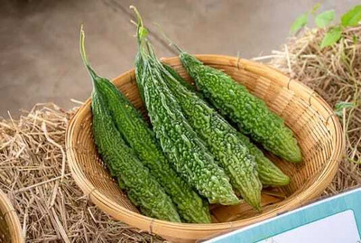 XOLDAA F1 BEST QUALITY BITTER GOURD SEEDS Seed(15 per packet)