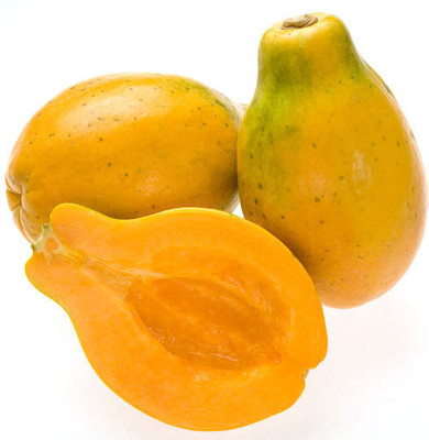 Corofitam Papaya Seeds Dwarf Variety Seed(20 per packet)