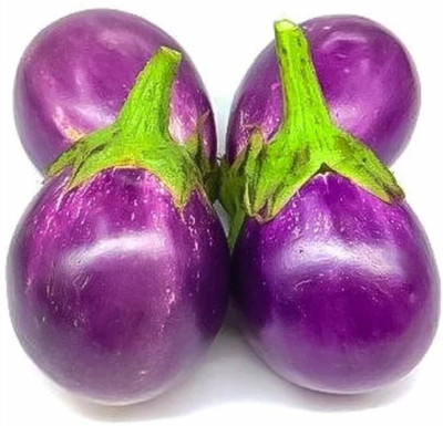 Biosnyg Desi Round Brinjal Plant ( Seeds) Seed(2000 per packet)