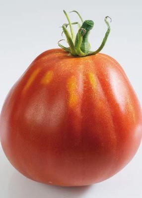 CYBEXIS Tomato “Liguria“ (Lycopersicon esculentum)2000 Seeds Seed(2000 per packet)