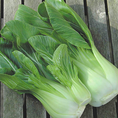 Arshiayat Pak Choi Hybrid Vegetable Seed(10 per packet)