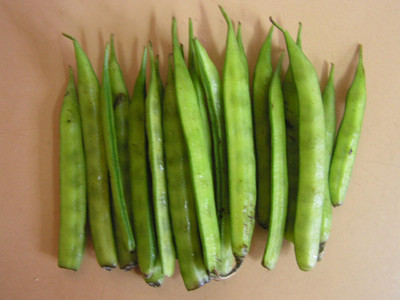 Aywal Gwar Fali/Cluster Beans Seed(100 per packet)