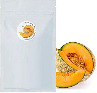 CYBEXIS NDIR-51 - MUSK MELON GOLDEN (ORANGE FLESH) - (1350 Seeds) Seed(1350 per packet)