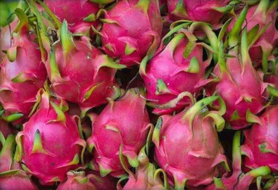 Aywal HIGH Quallity F1 hybrid Dragon fruit Seed(20 per packet)