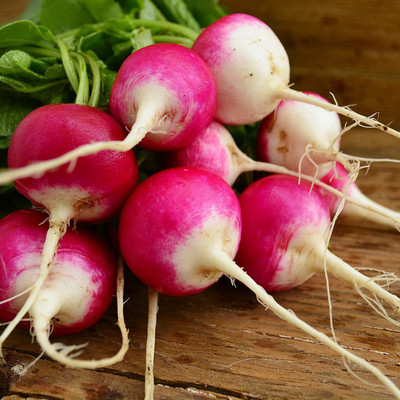 WILLVINE PAU-626 Sparkler White Tip Radish Seed(500 per packet)