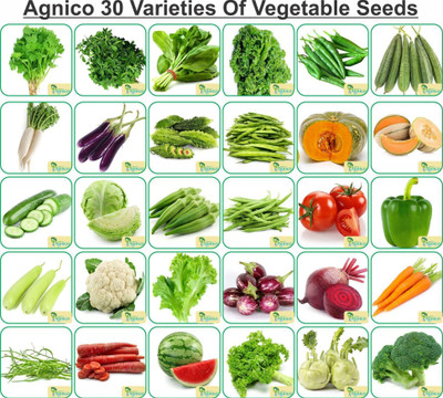 Agnico Agnico 30 Varieties of Vegetable Seeds 1910+ Germination Seeds For Your Garden With Instruction Manual Seed(1910 per packet)