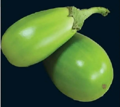 UGRA Brinjal Seed(400 per packet)