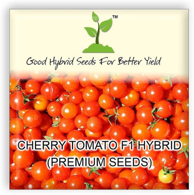 WILLVINE Cherry Tomato F1 Hybrid Imported [10g, 3000 Seeds] Seed(3000 per packet)