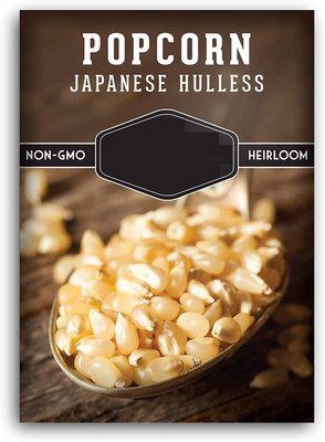 Qualtivate GBPT-8A Japanese Hulless Popcorn Seed Seed(400 per packet)