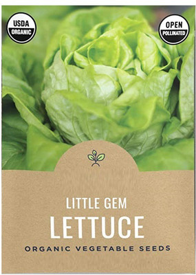 CYBEXIS XLL-18 - Little Gem Lettuce - (150 Seeds) Seed(150 per packet)