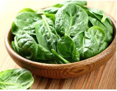 CYBEXIS PAU-11 - Spinach Bloomsdale Long Standing - (750 Seeds) Seed(750 per packet)