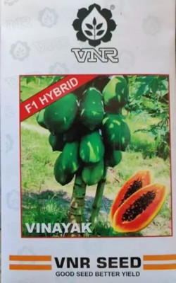 the green dotcom PAPAYA Seed(1 per packet)