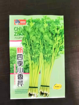 CYBEXIS Vegetable Seeds Garden Plants - Celery, Celeriac, Parsley2800 Seeds Seed(2800 per packet)
