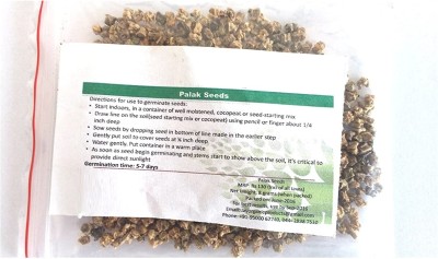 Qualtivate HUA-4A Palak or Spinach Seeds Seed(300 per packet)