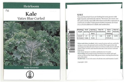 Biosnyg Kale Garden Seeds - Vates Blue Scotch Curled-[1000 Seeds] Seed(1000 per packet)