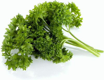 VibeX GUA-32 - Moss Curled Parsley - (2250 Seeds) Seed(2250 per packet)