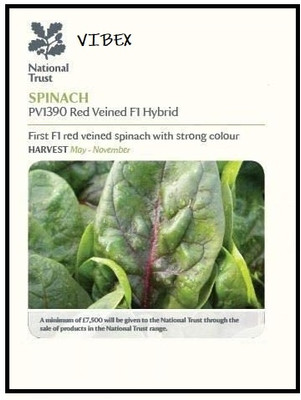LPR SPINACH , PALAKH Seed(2000 per packet)