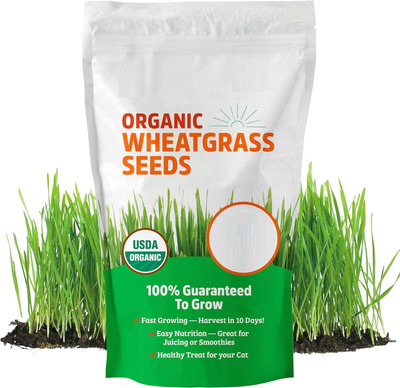 Biosnyg Organic Hard Red Wheatgrass Seeds Ideal for Indoor Growing-(5000 Seeds) Seed(5000 per packet)