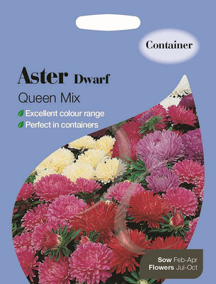 CYBEXIS Aster Dwarf Queen Mix Seed(50 per packet)