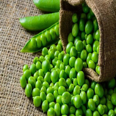 Quentova Green Peas Matar-RXI-6V Seed(300 per packet)