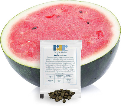 CYBEXIS VXI-2 - Watermelon Sugar Baby - (150 Seeds) Seed(150 per packet)