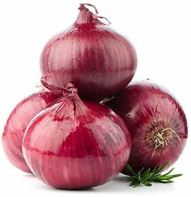 WILLVINE LX-863 Red Sweet Onion Nasik Seeds Seed(1000 per packet)