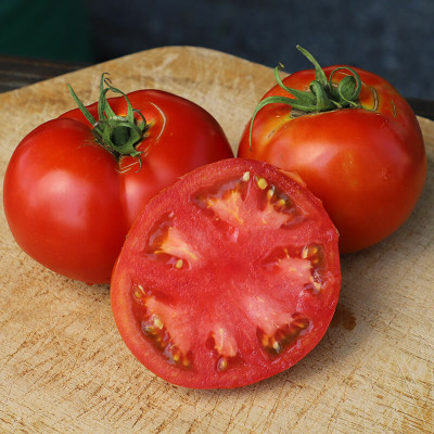 Quentova Tomato Big Beef-TKK-7C Seed(250 per packet)