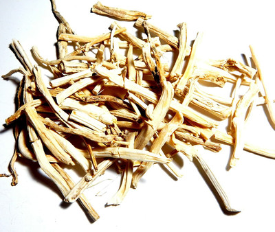 Urancia Shatavari dried root Asparagus racemosus 100g For Pooja Seed(1 per packet)