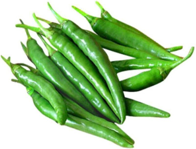 Farmonix Perfect Spicy Green Chillie/Chilli Seed(800 per packet)