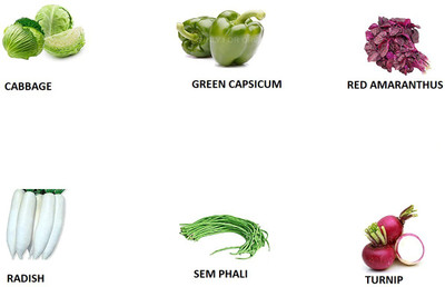 Decon Cabbage, Green Capsicum, Red Amranthus, Radish, Sem Phali, Turnip Seed(20 per packet)
