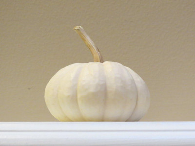Qualtivate PUA5-A White Baby Boo Mini Pumpkin Seeds Seed(50 per packet)
