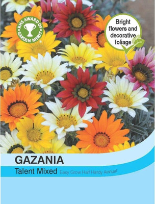 CYBEXIS RHS Gazania Talent Mixed Seed(1 g)