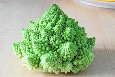 WILLVINE GOI -I Vegetable Broccoli Romanesco [2.5g] Seed(750 per packet)