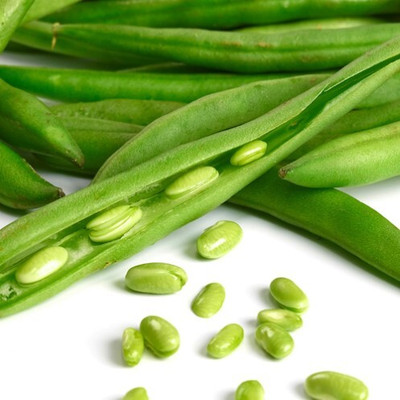 SeeGreen Long Sem Phali, Lima Beans for Home Garden_20 Seed(20 per packet)
