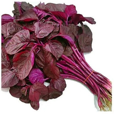 Quentova Red Amaranthus-KTL-7E Seed(250 per packet)